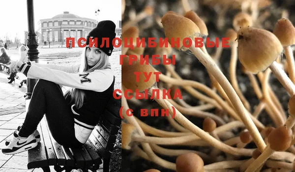 марки nbome Верхний Тагил